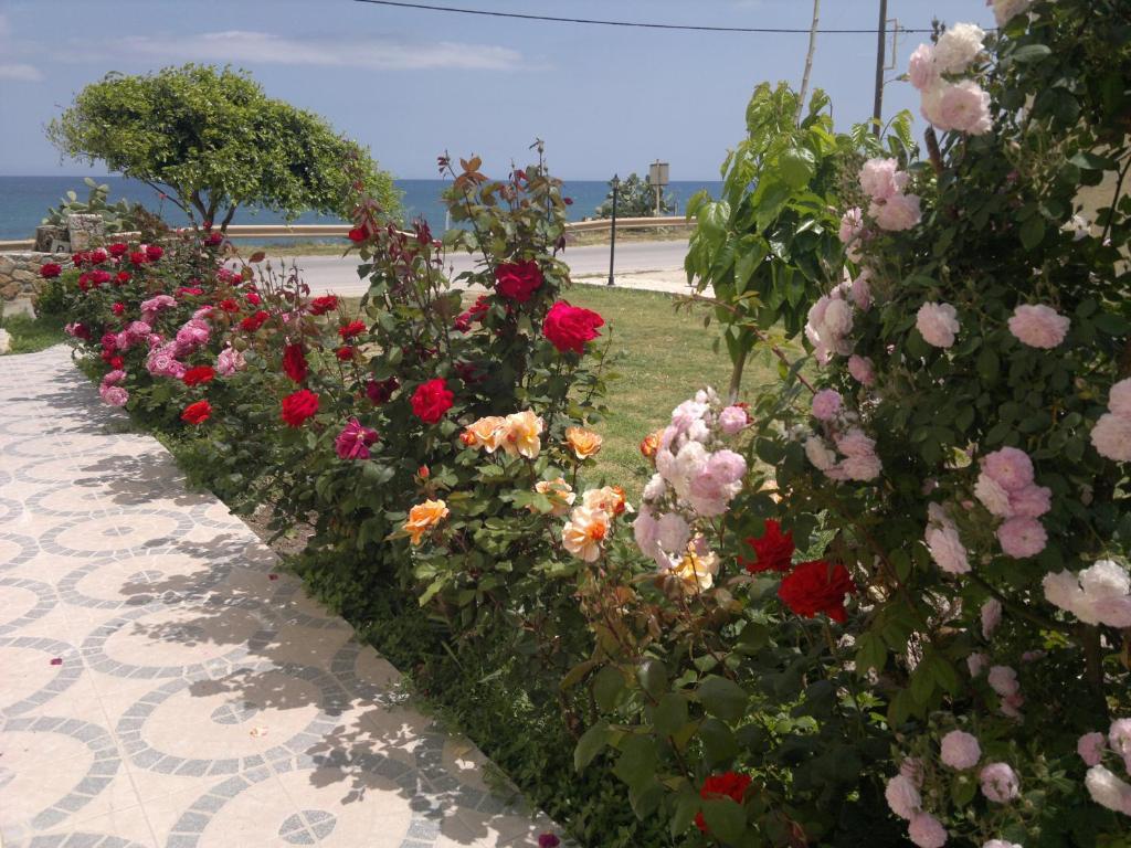 Asterina Seaside Apartments Kalyves Exterior photo